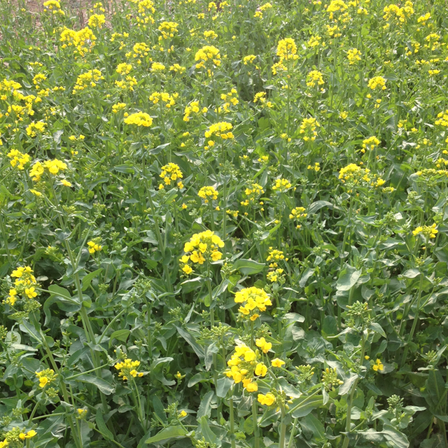 永生永世！在一起