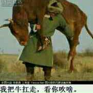 人生难得醉一回959