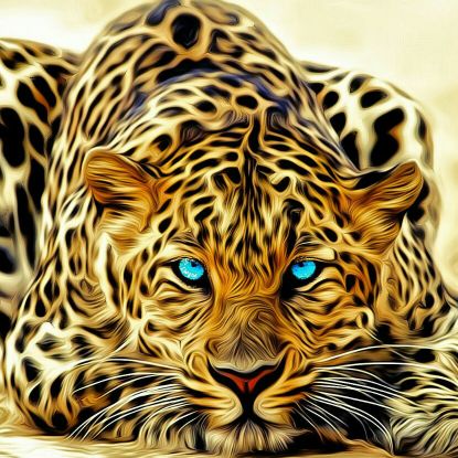 浅绿的丝柏下孤