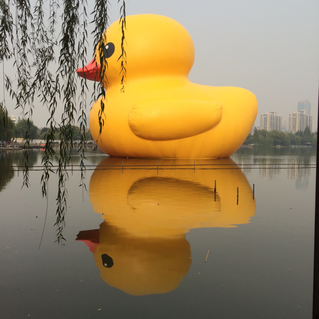 小小小小小坏人d