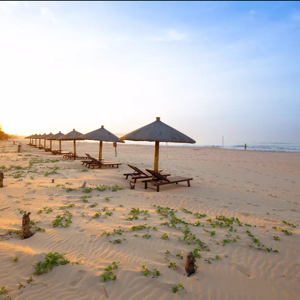 阿罗哈的咖啡杯