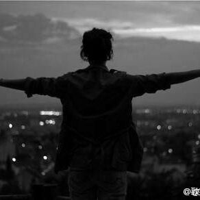 青菜包菜都是菜