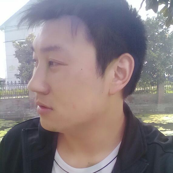 斑斑点点的刀叶石斛