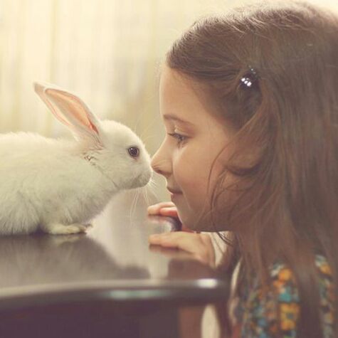 冷淡de阿花芙蓉