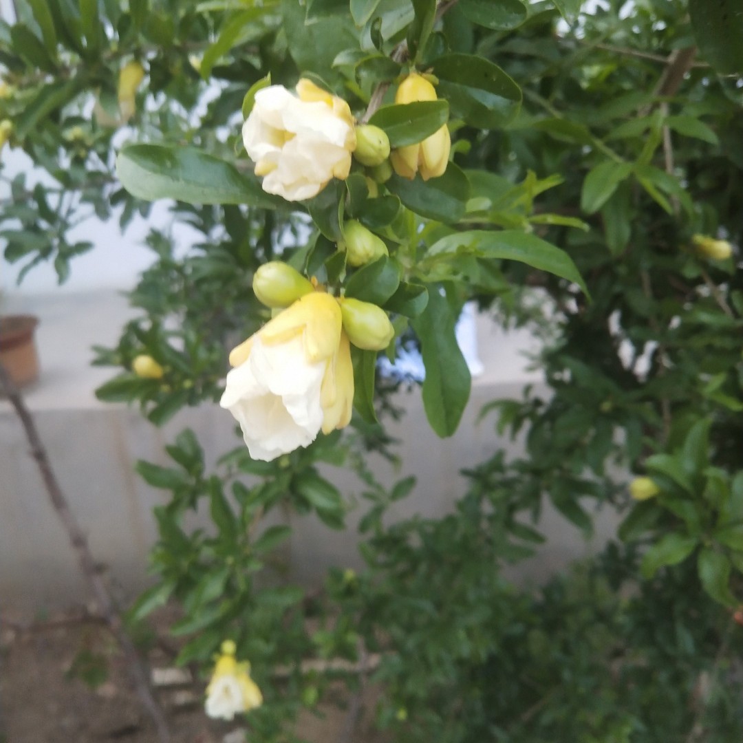 开心快乐每一天