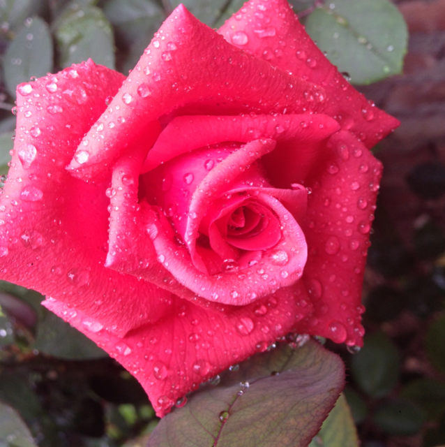 阿妹妹妹妹妹妹妹妹妹妹