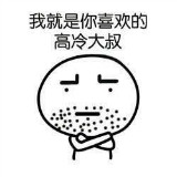 高冷大叔
