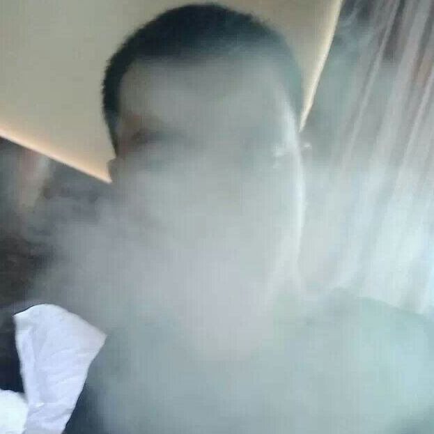 咖啡色的乌柳72