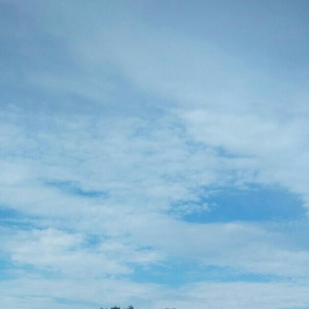 可乐味的记录者47