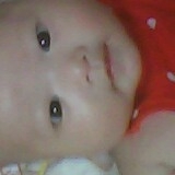 爱吃三丁包子的西红柿