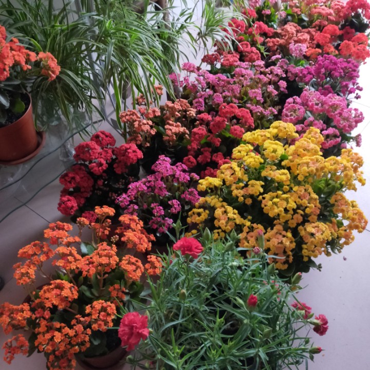 别问我从哪里171