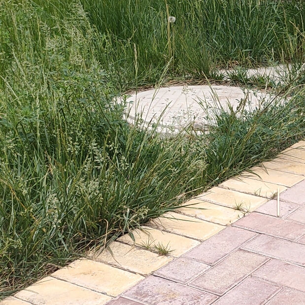 爱吃三丝爆豆的小心心