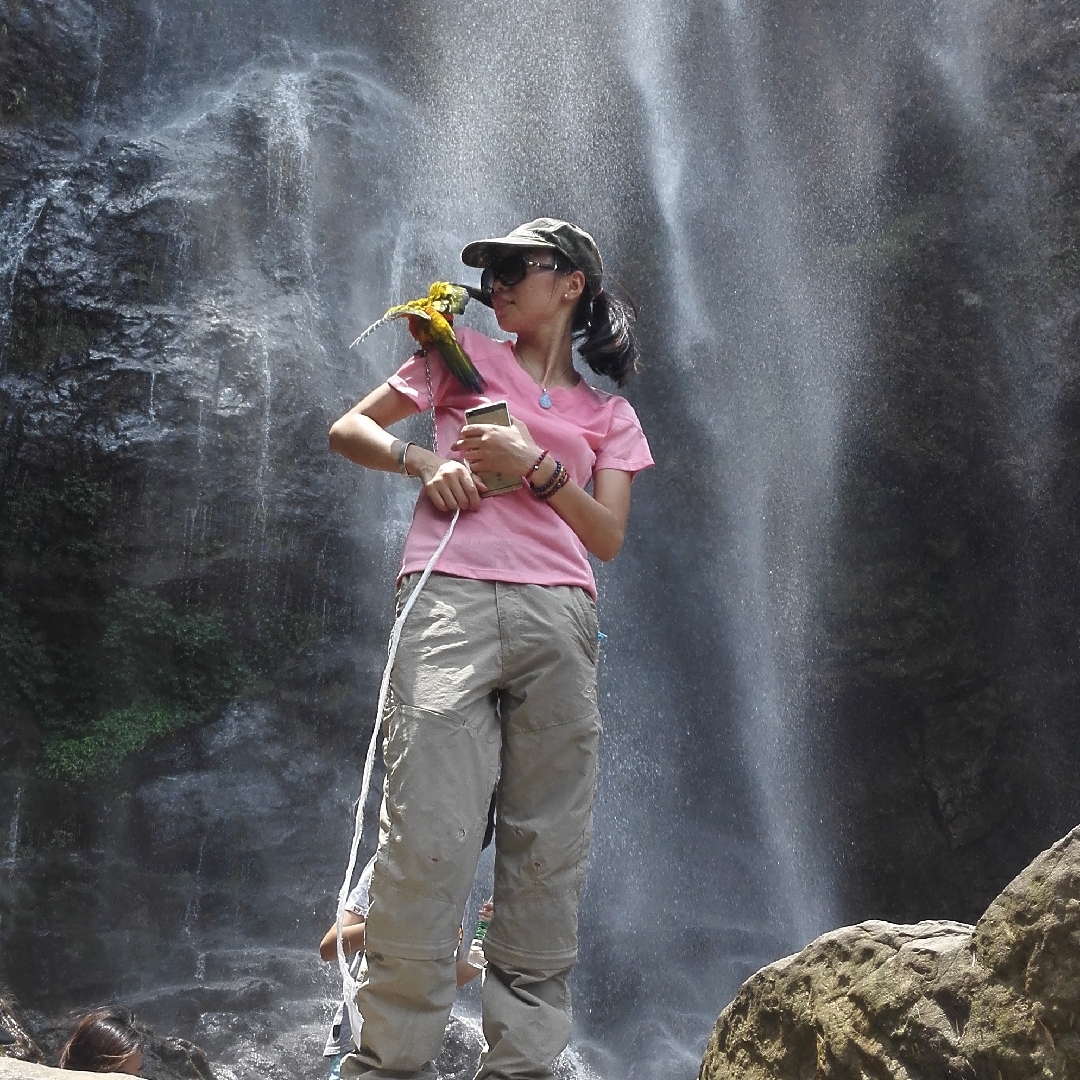 充满能量的小怪兽