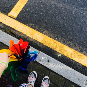 柑橘栀子花花花