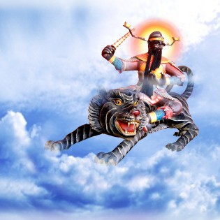 不穿铠甲的勇士