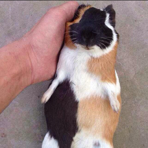 很久很久以前！