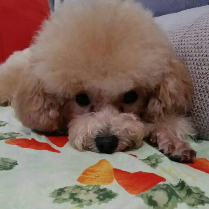 东京爱情故事18