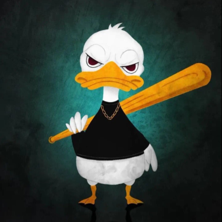 尘埃落定的欣欣