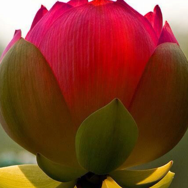 欢乐购屋欢乐购屋