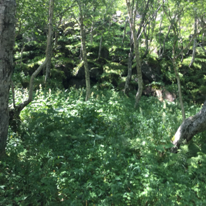 快乐人生平静生活