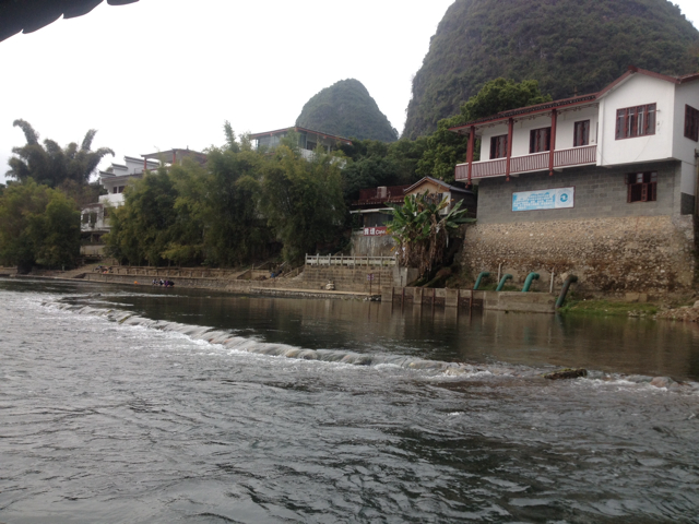 白蒙蒙的麦黄葡萄群1