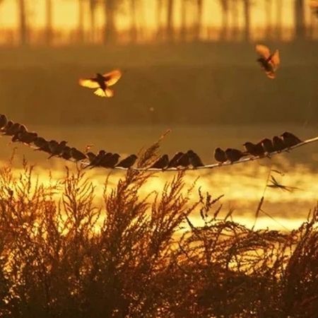 飞翔的～千里马