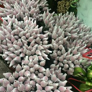 爱吃香肠炒蛋的记事本