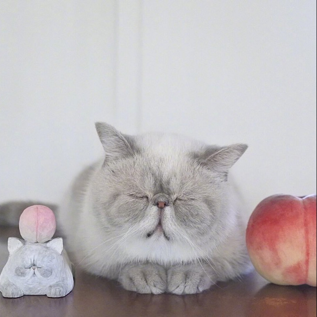 满天都是小星星z