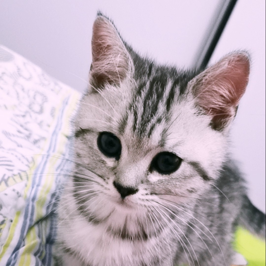 生命在于折腾312