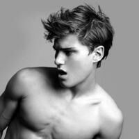 唯吾所爱不朽。