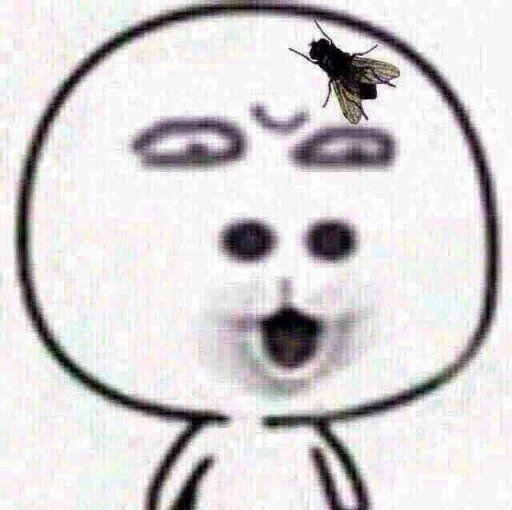 度度度8888太聪明