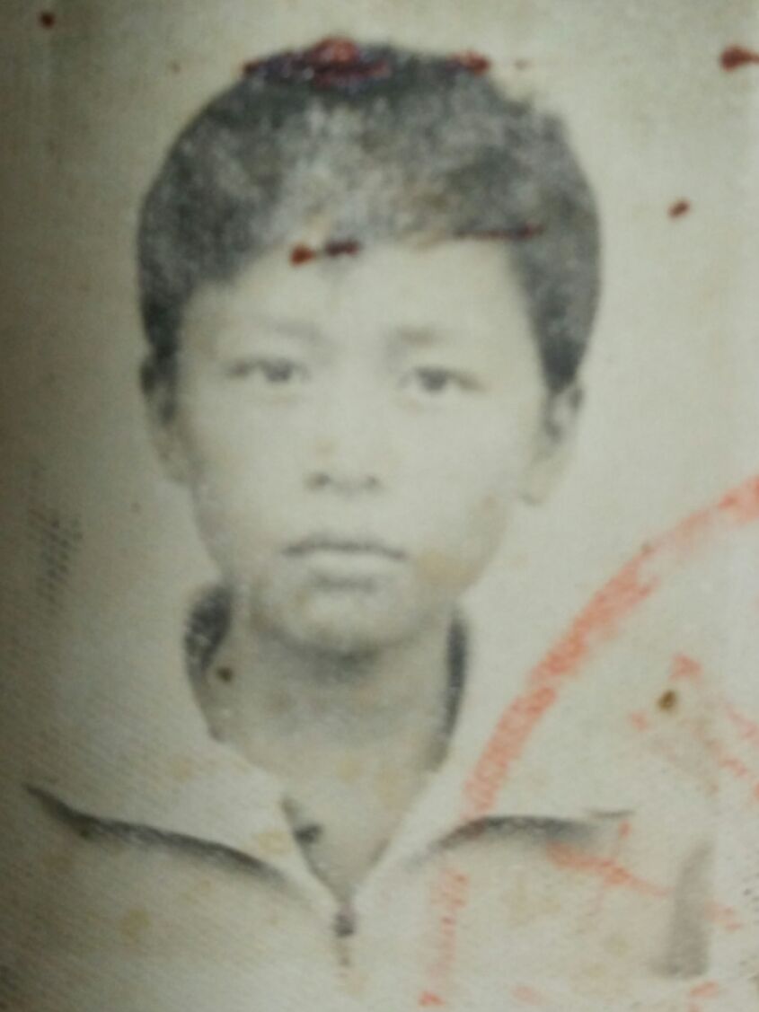 乔巴不孤单大树