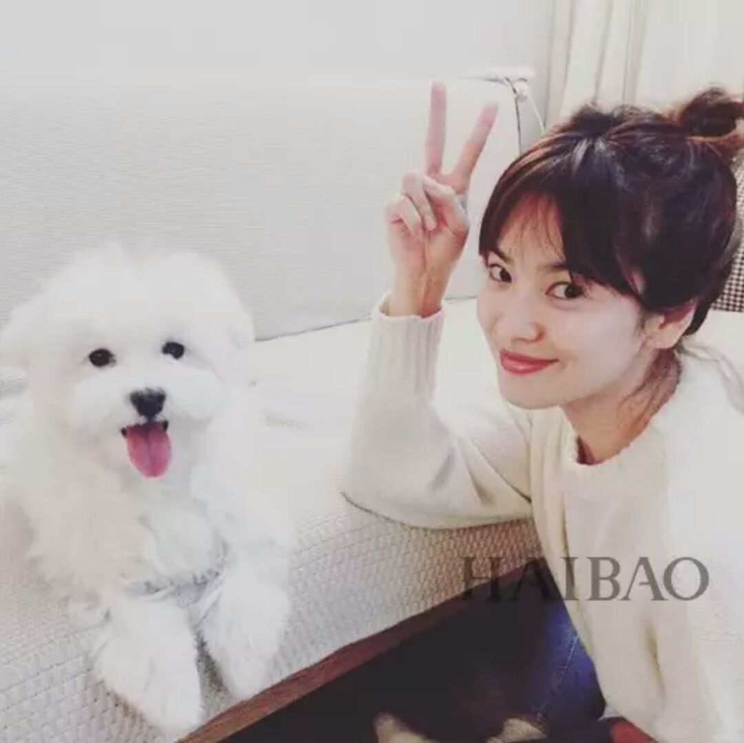 陈诺1212很乐观酱紫