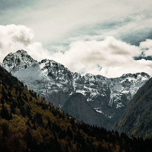 勤劳的小毛驴552020