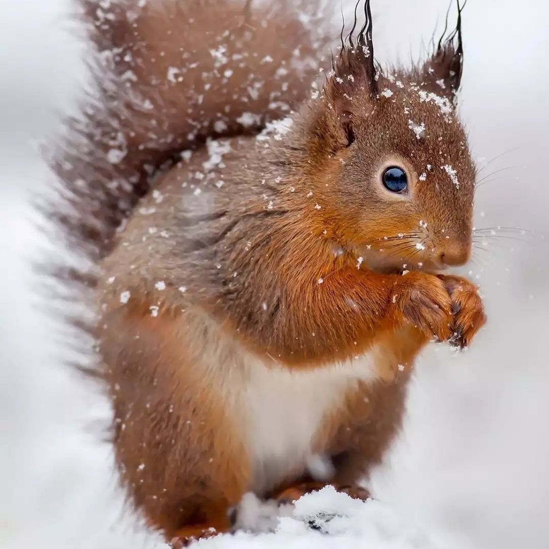 爱吃上党烩面的超人