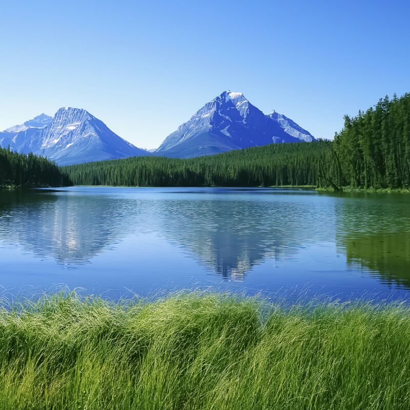 奔跑的音符山水