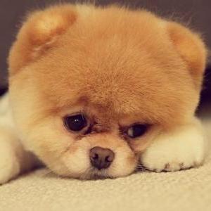 温馨小家有你有我