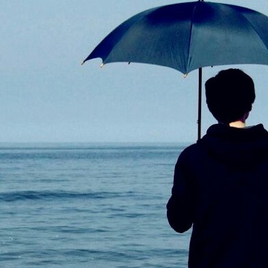 迷人的灰太狼商务