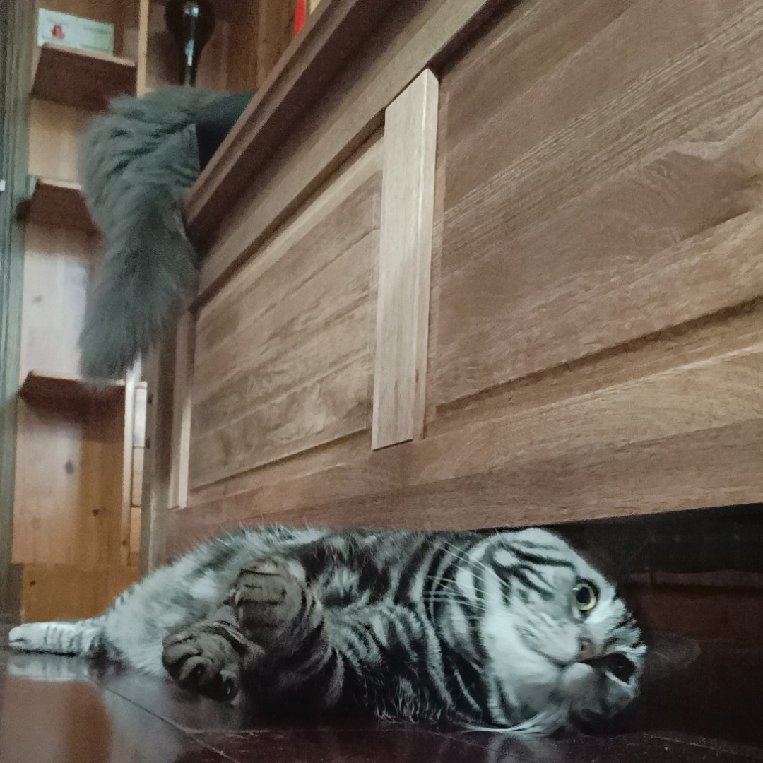 用户正忙请看清下单