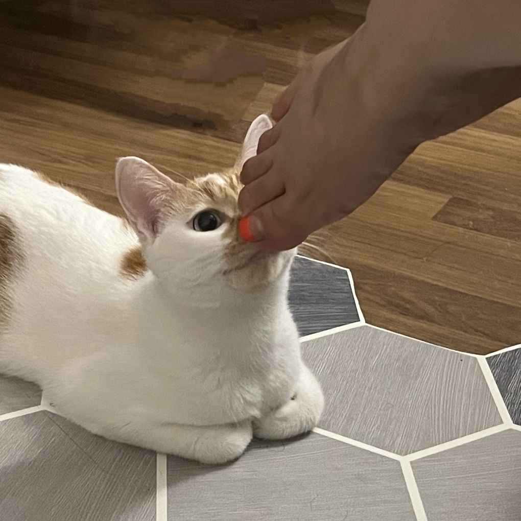 轻轻的我带走一片云彩