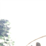 心心念念大圆脸on