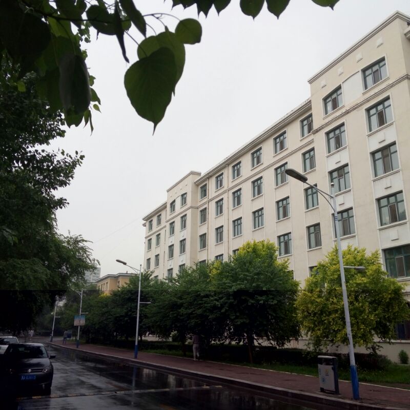 我是谁-我是你啊