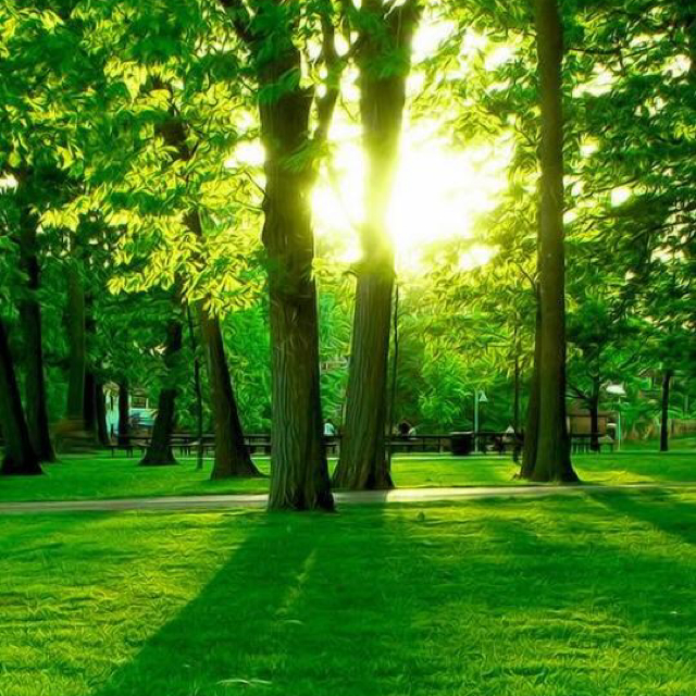 染指素人颜值520