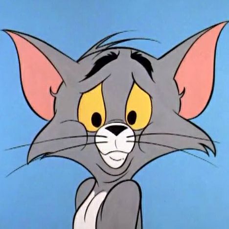 爱吃粉丝肉丸的苹果是船