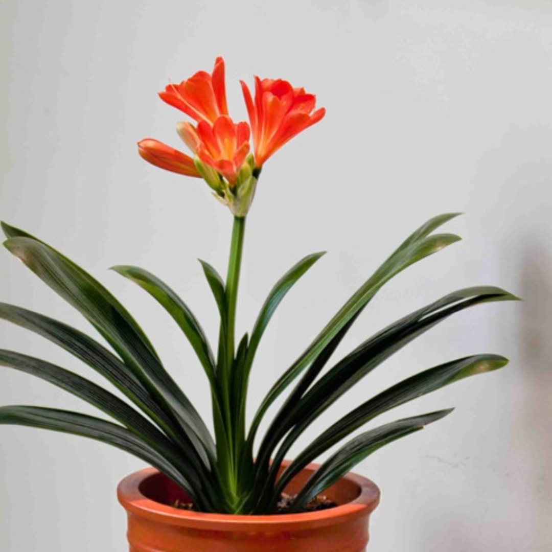 也可以试试推荐昵称