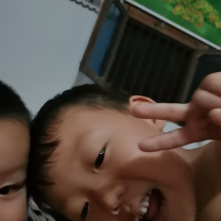 爱吃东北拉皮的吉他