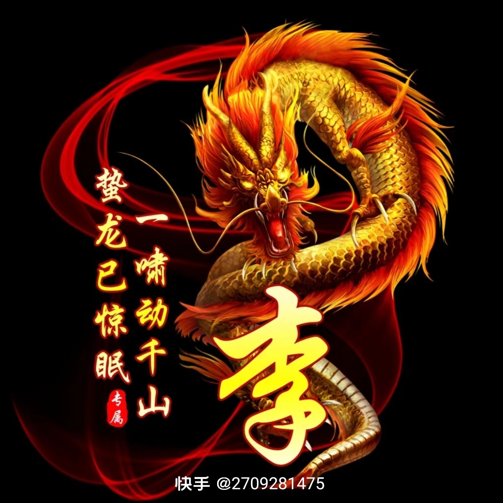 用心飞翔（*＾ワ＾*）