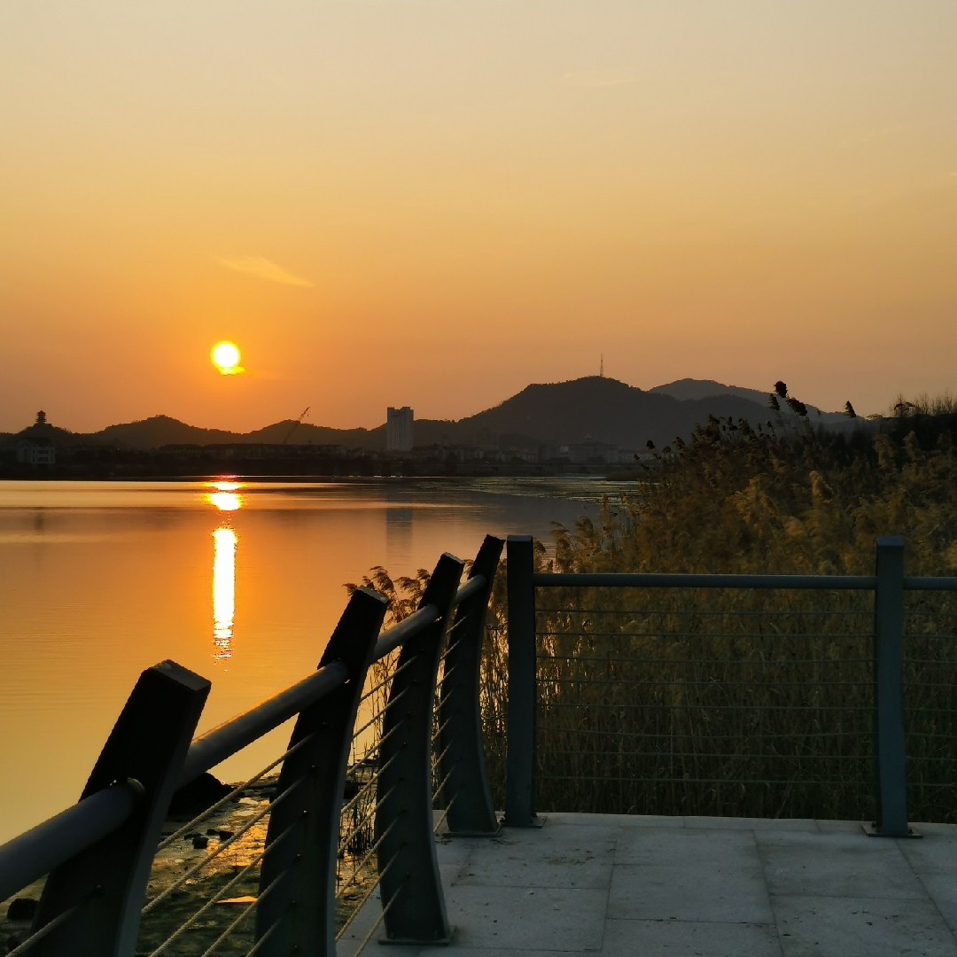 左海独立的土豆