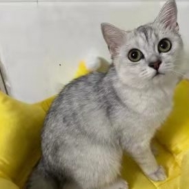 好一点的积极健康1