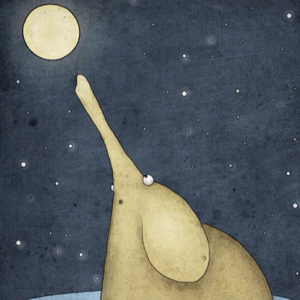 万紫千红总是春_2322